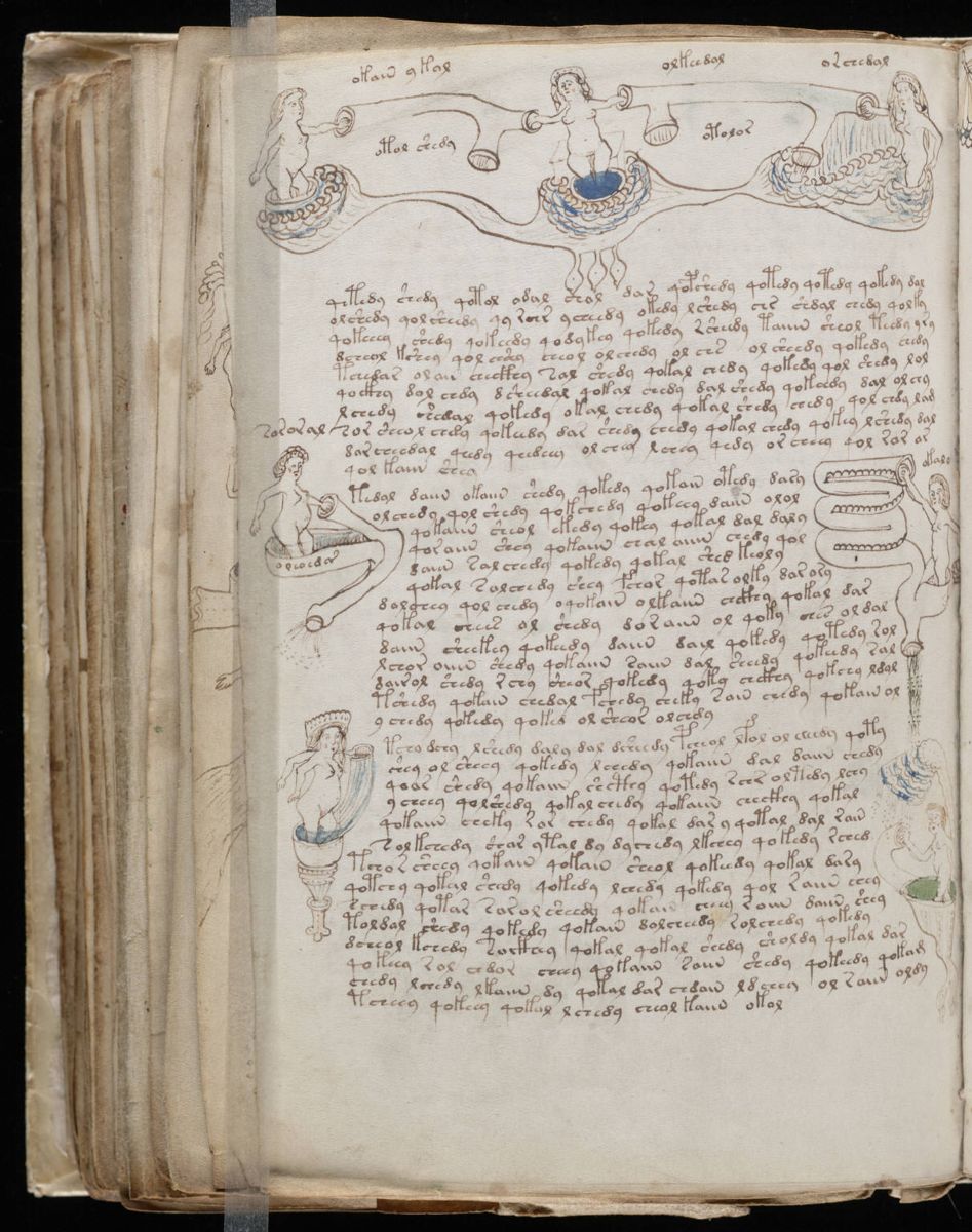 Voynich Manuscript (140).jpg