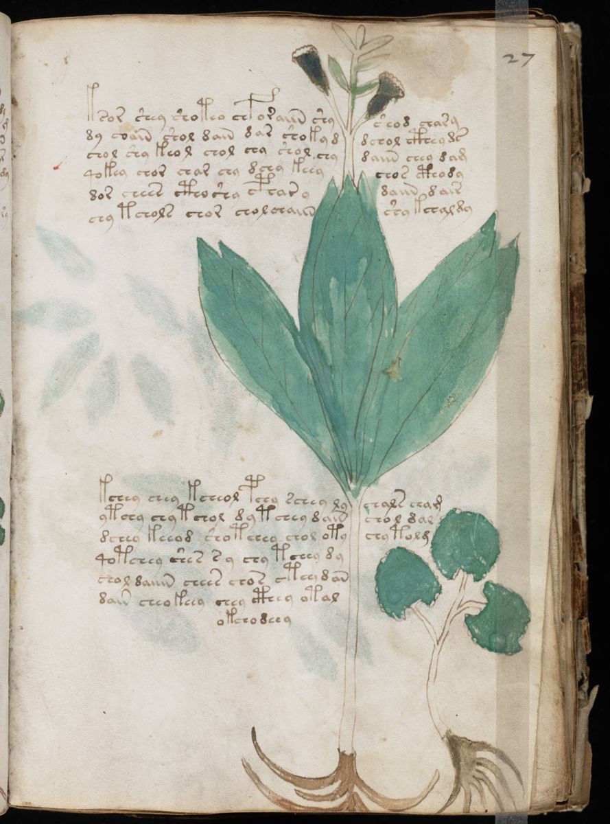 Voynich Manuscript (53).jpg