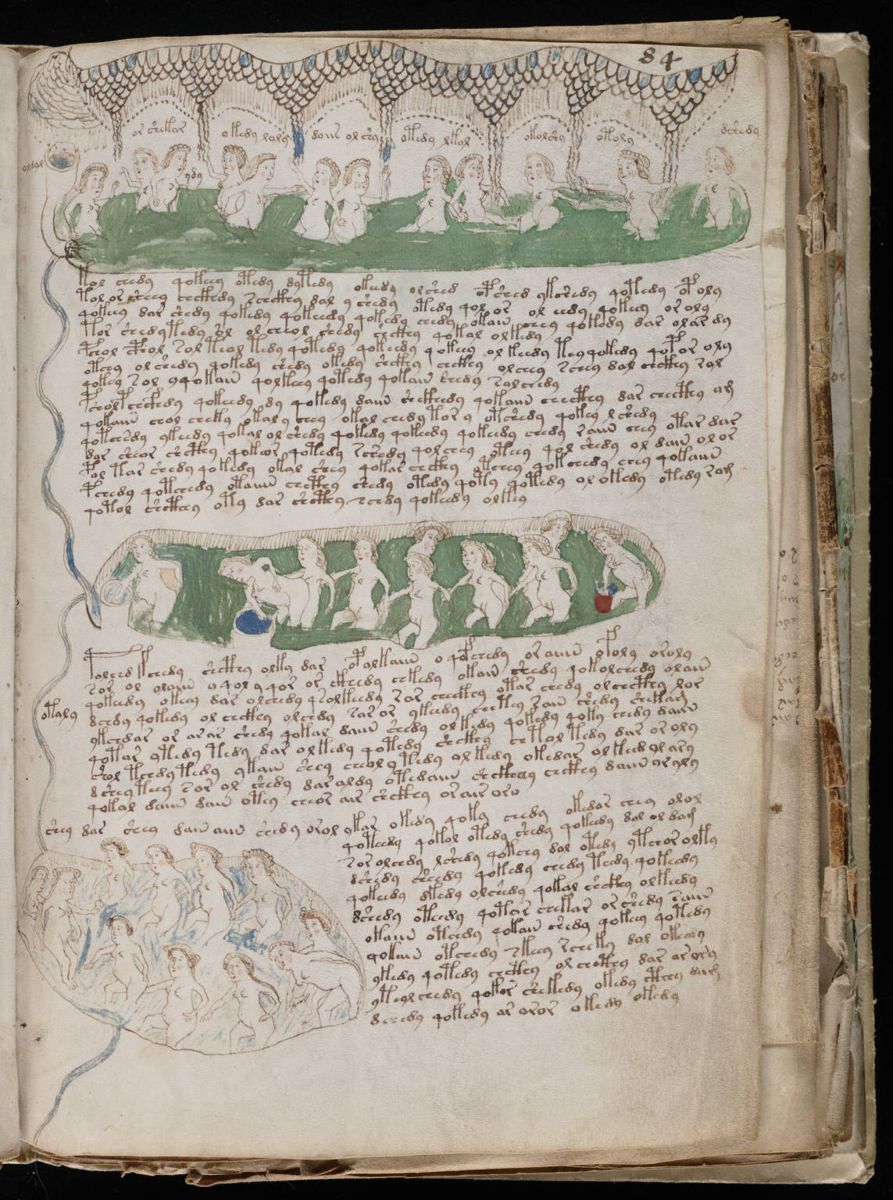Voynich Manuscript (153).jpg