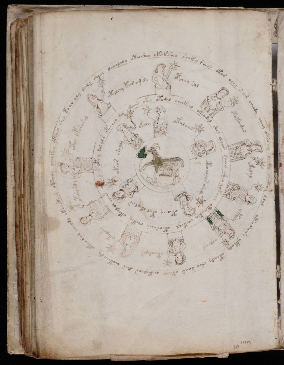 Voynich Manuscript (128).jpg