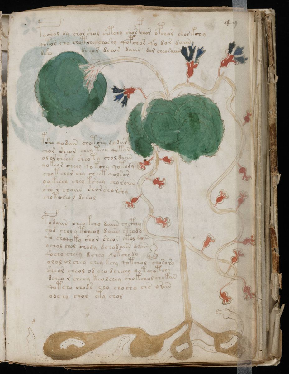 Voynich Manuscript (97).jpg