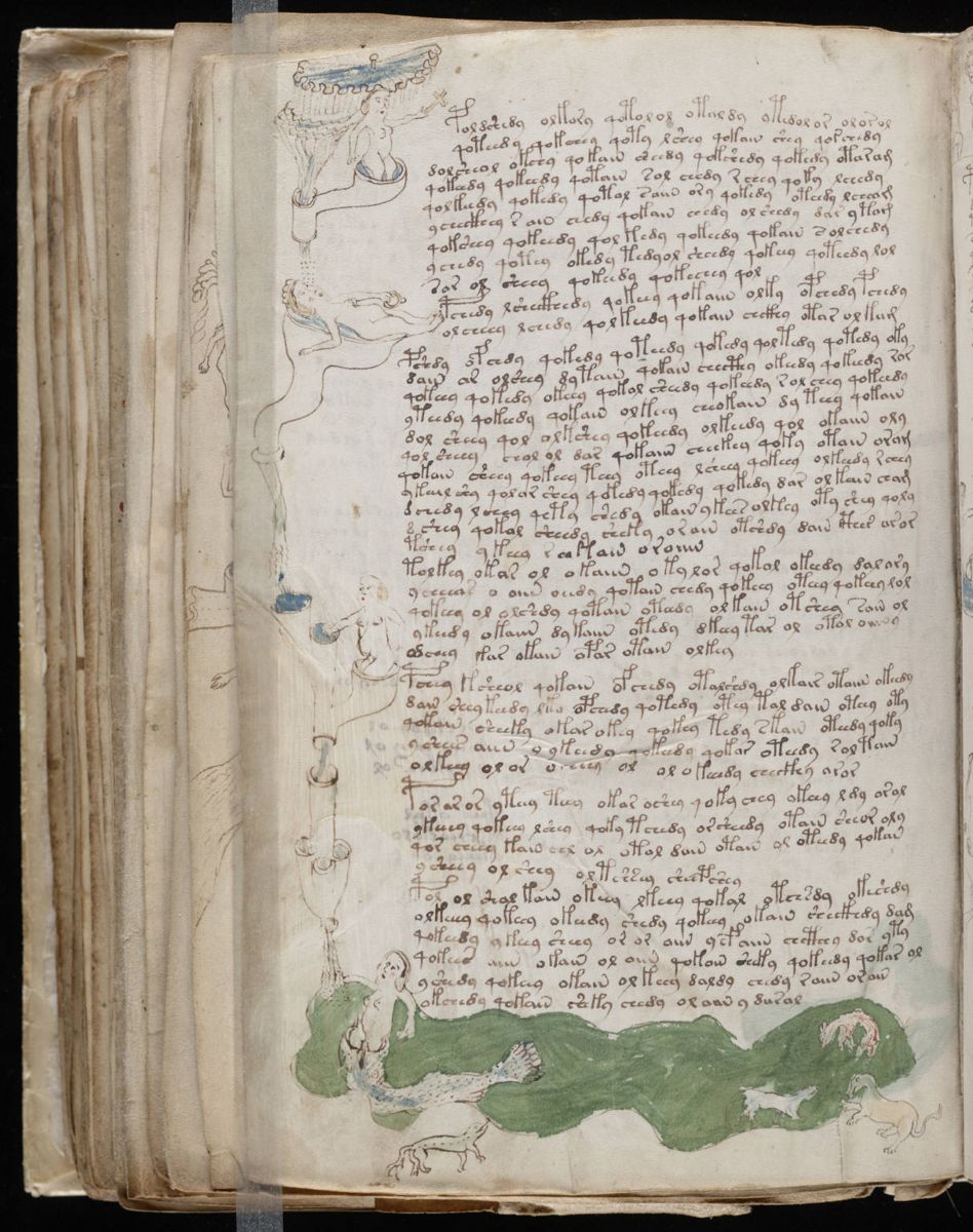 Voynich Manuscript (144).jpg