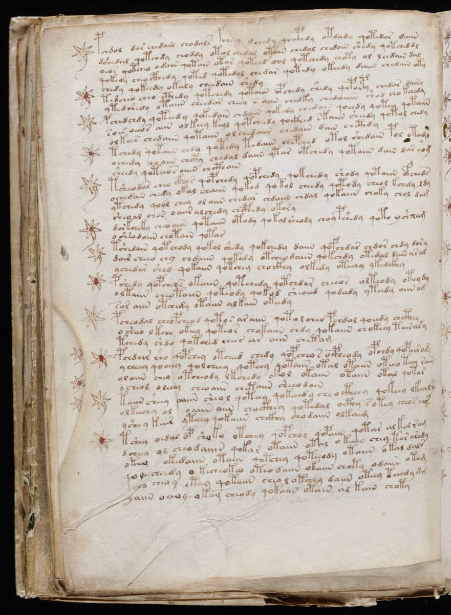 Voynich Manuscript (202).jpg