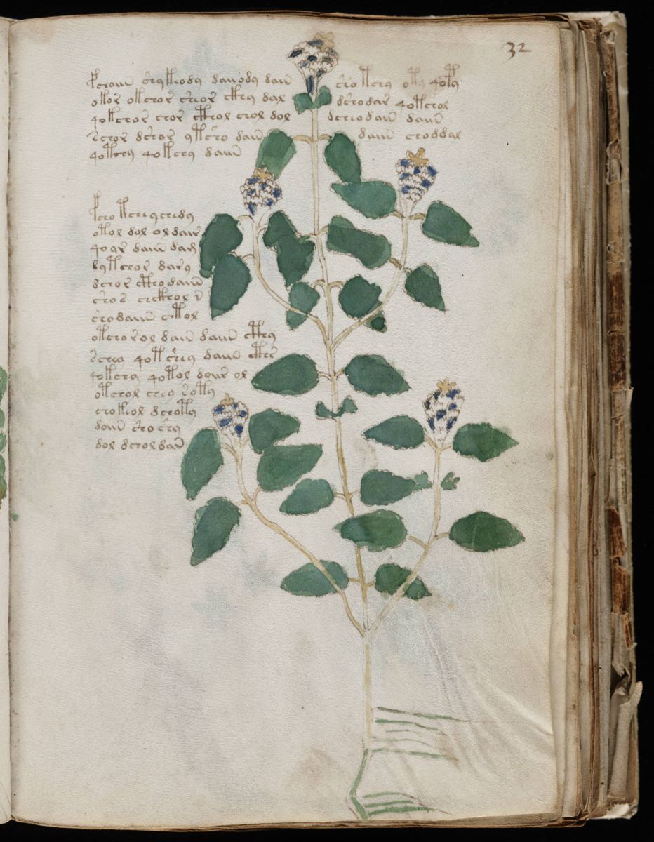 Voynich Manuscript (63).jpg