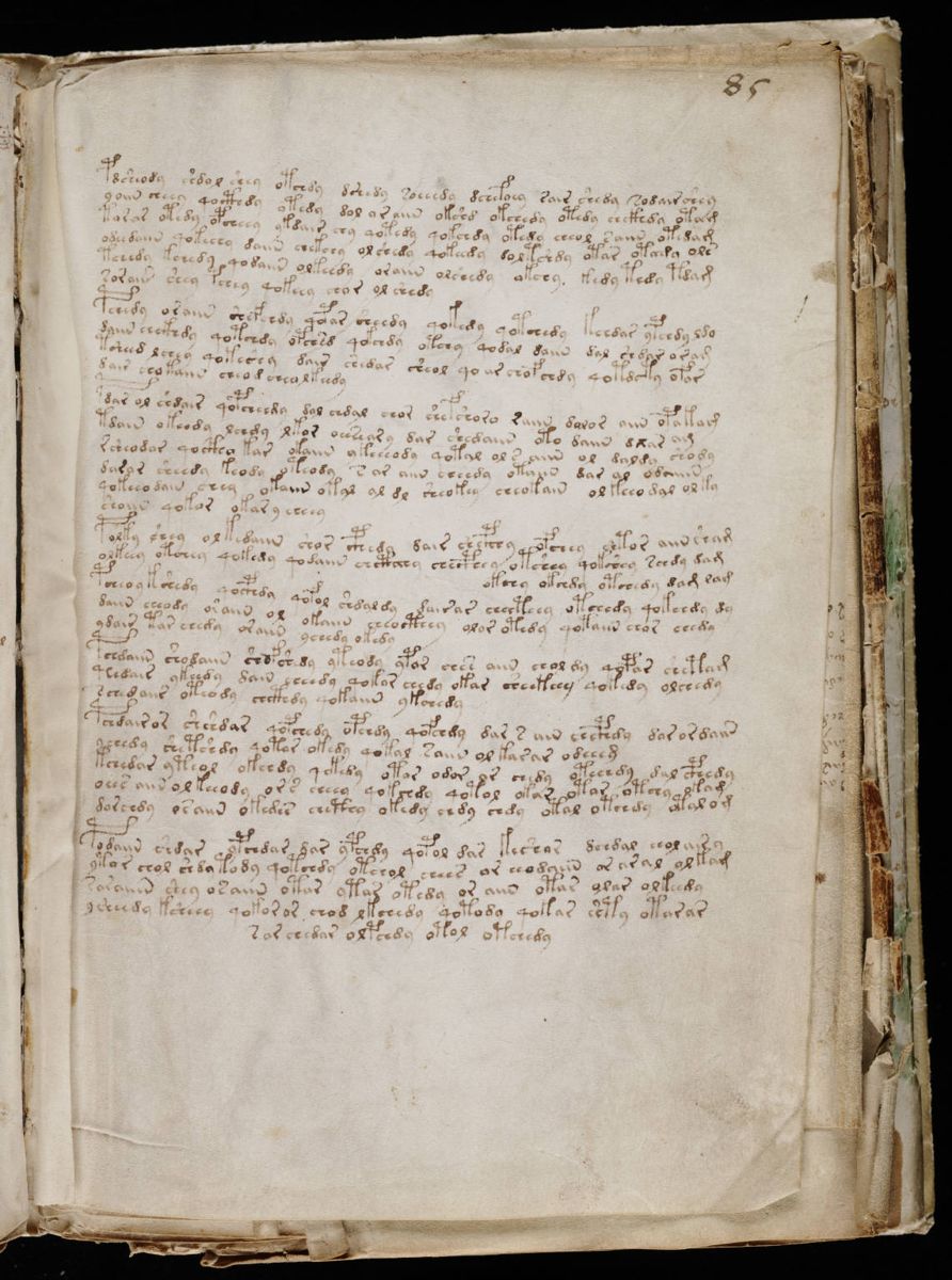 Voynich Manuscript (155).jpg