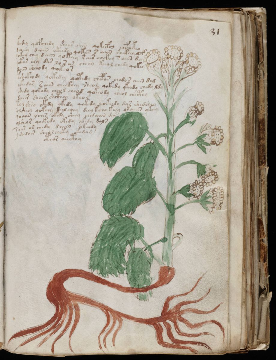 Voynich Manuscript (61).jpg