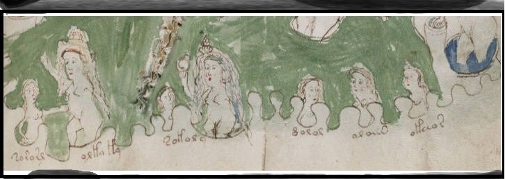 Voynich Manuscript (149)detalhe.jpg