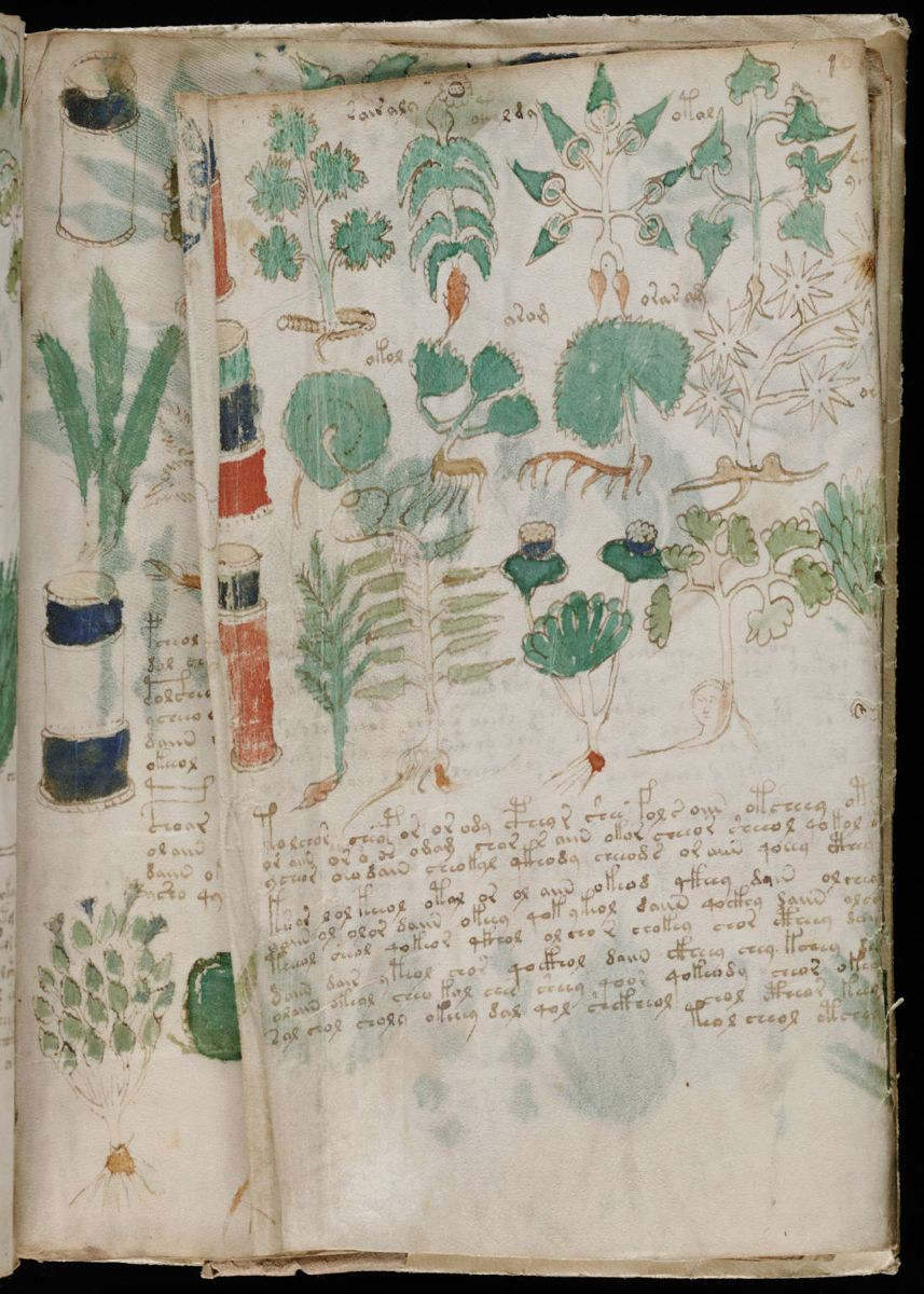 Voynich Manuscript (179).jpg